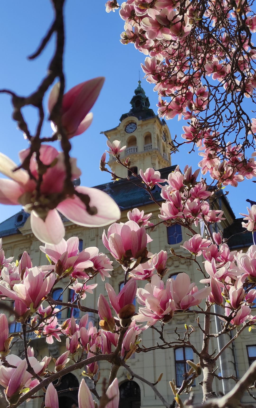 Tavaszi szünet & húsvét Szegeden